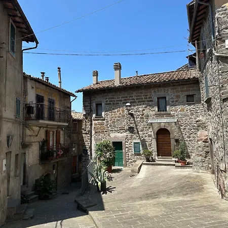 Il Nido Nel Cimino